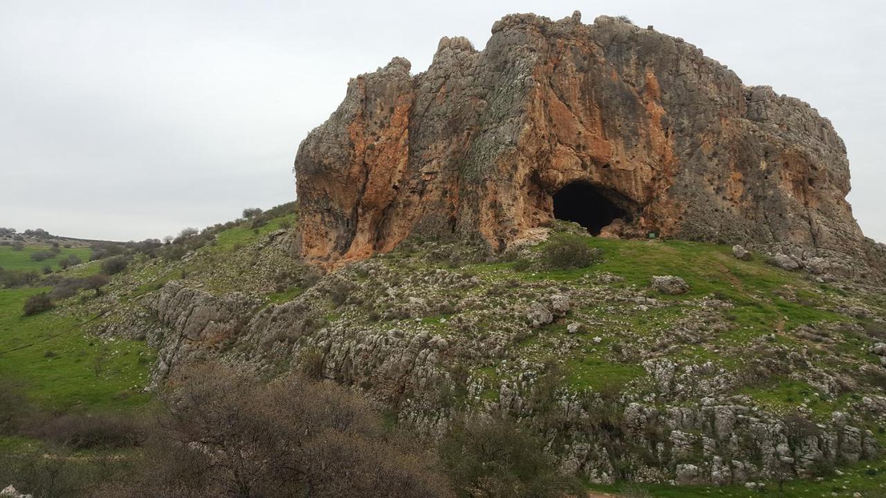 Eilabun 19Th Century Magical House In Galileeヴィラ エクステリア 写真