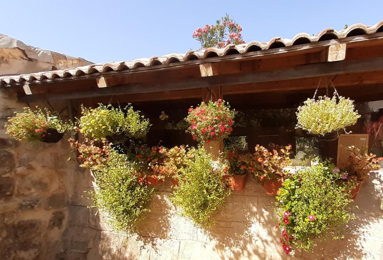 Eilabun 19Th Century Magical House In Galileeヴィラ エクステリア 写真